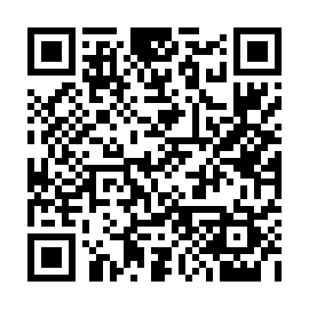 QR code for 394DSS