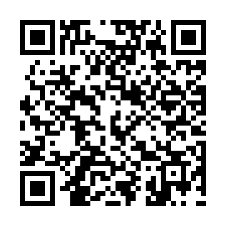 QR code for 394IPS