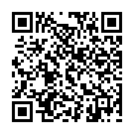 QR code for 394SXR