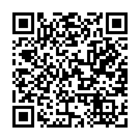 QR code for 397CHS