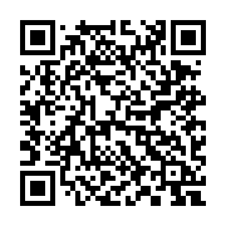 QR code for 397DIB