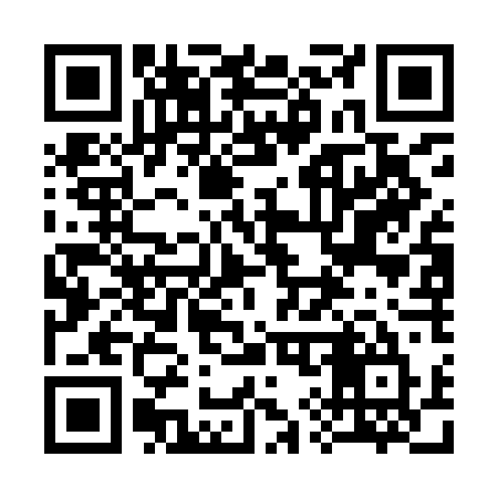 QR code for 397IDU