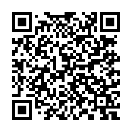 QR code for 397LOW