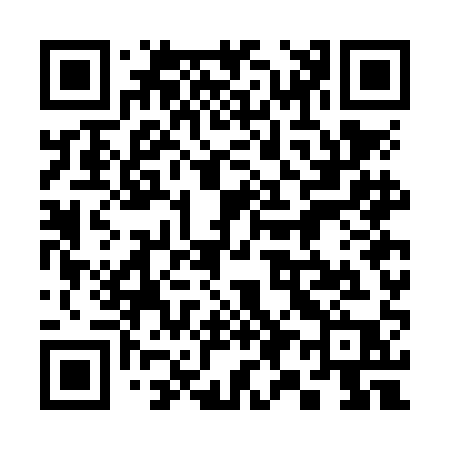 QR code for 397NAP