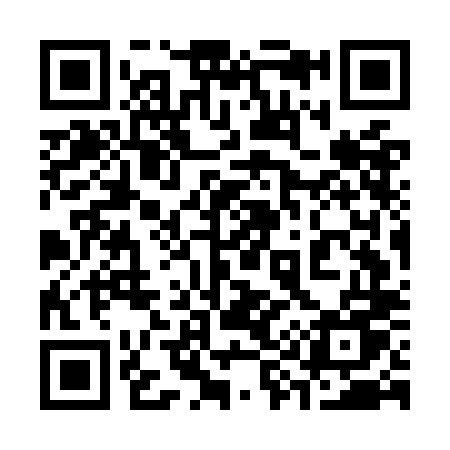 QR code for 397OLU