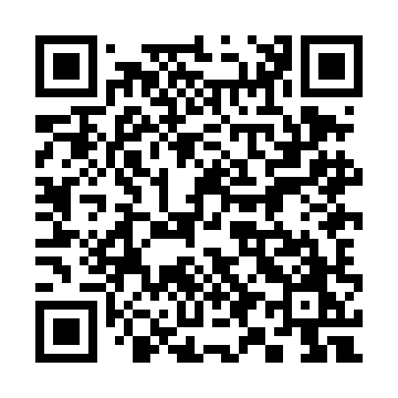 QR code for 398DHO
