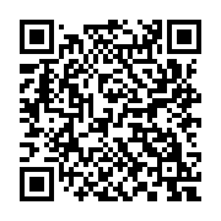 QR code for 398ISO