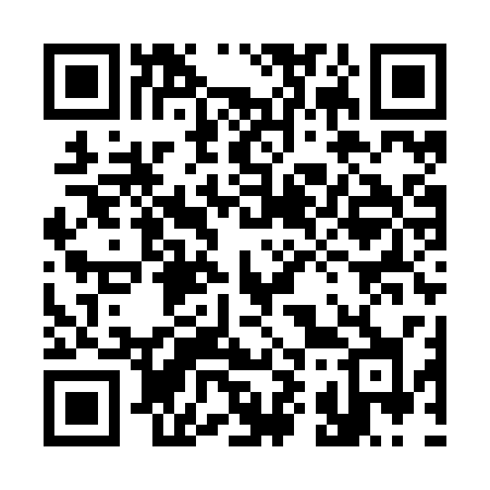 QR code for 399ZSH