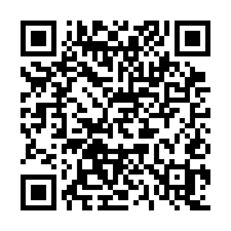 QR code for 411CEI