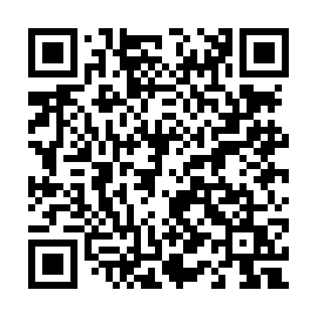 QR code for 411LGU