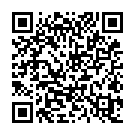 QR code for 411OLI
