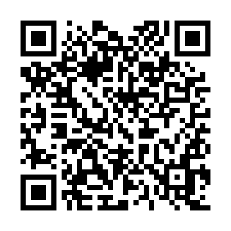 QR code for 411PIN