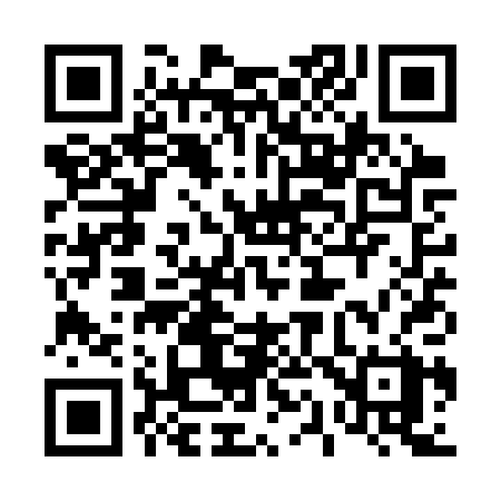 QR code for 411SPX