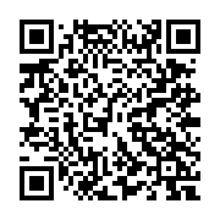 QR code for 411TDG