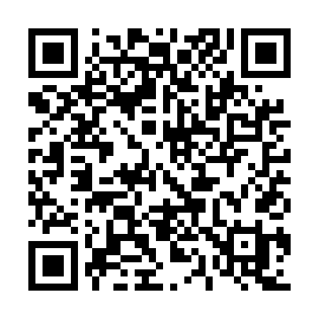 QR code for 411UDI