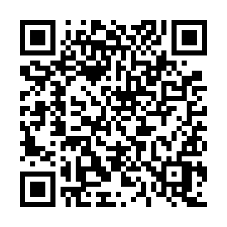 QR code for 411VIV