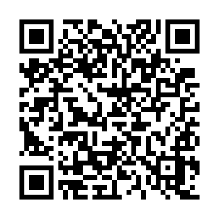QR code for 411WIZ