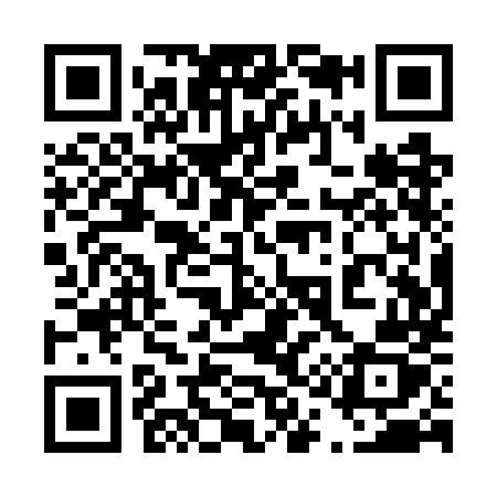 QR code for 411WMZ