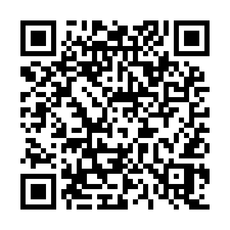 QR code for 411YER