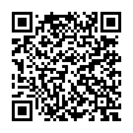 QR code for 413LLI