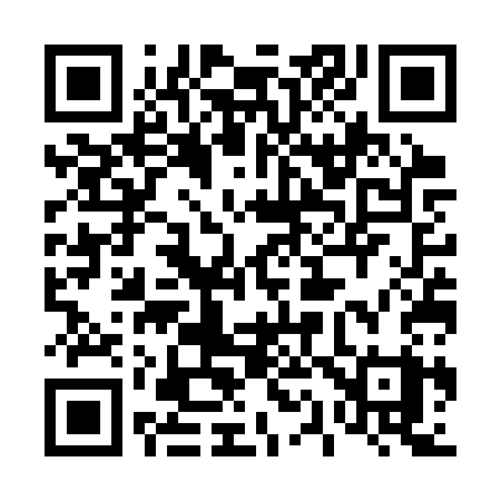 QR code for 417SSY