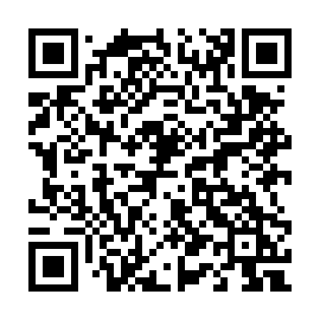 QR code for 419DPK