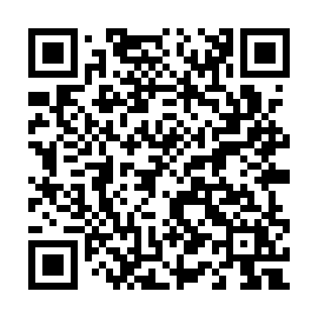 QR code for 419QXX