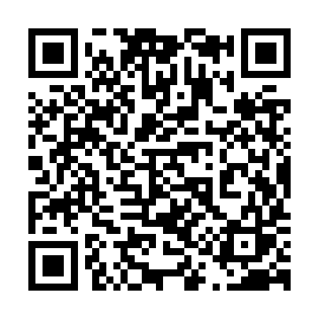 QR code for 419ZYS