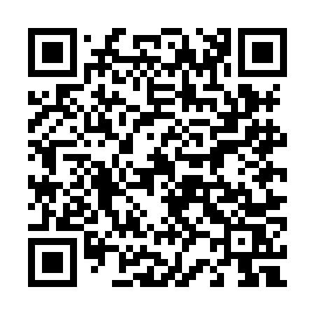 QR code for 425HNS