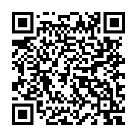 QR code for 425MYK