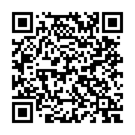 QR code for 441DSA