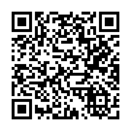QR code for 441ICM