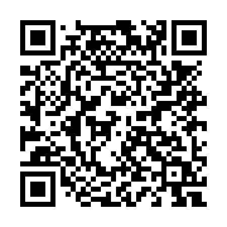 QR code for 441NYT