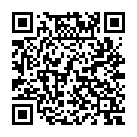 QR code for 441SUS