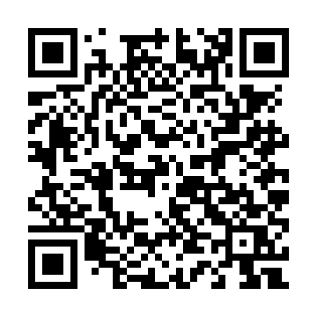 QR code for 446NES