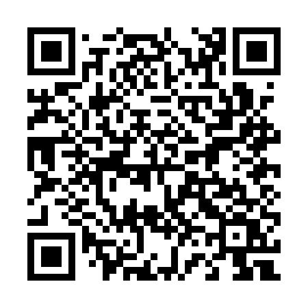 QR code for 460AUV