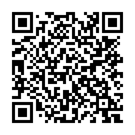QR code for 460NSE