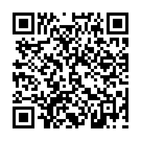 QR code for 460QAM