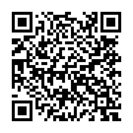 QR code for 461LUN
