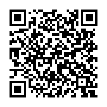 QR code for 461MTS