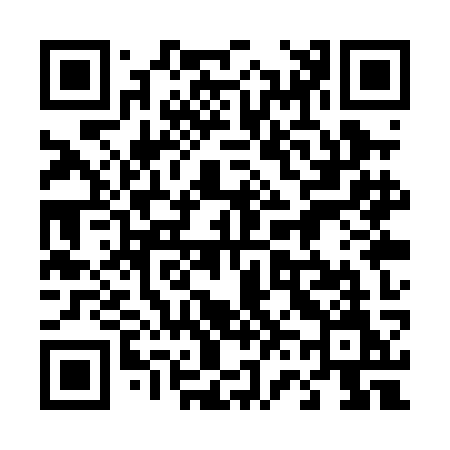 QR code for 461PKM