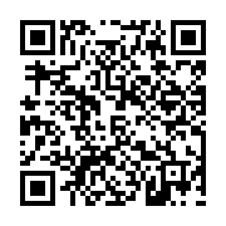 QR code for 462NIT