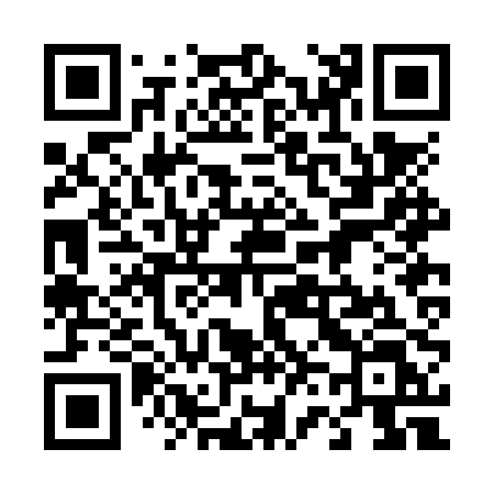 QR code for 462NPL