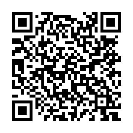 QR code for 463LRZ