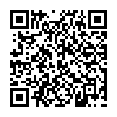 QR code for 463WHO