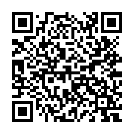 QR code for 463ZXU