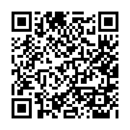 QR code for 466PNS