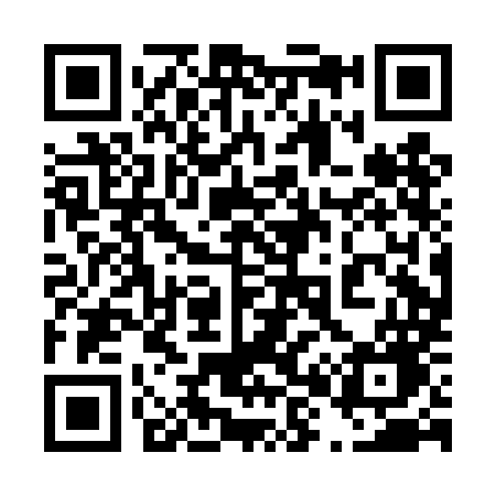 QR code for 480DMG