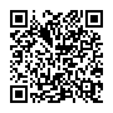 QR code for 487IDE