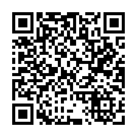 QR code for 490OIG